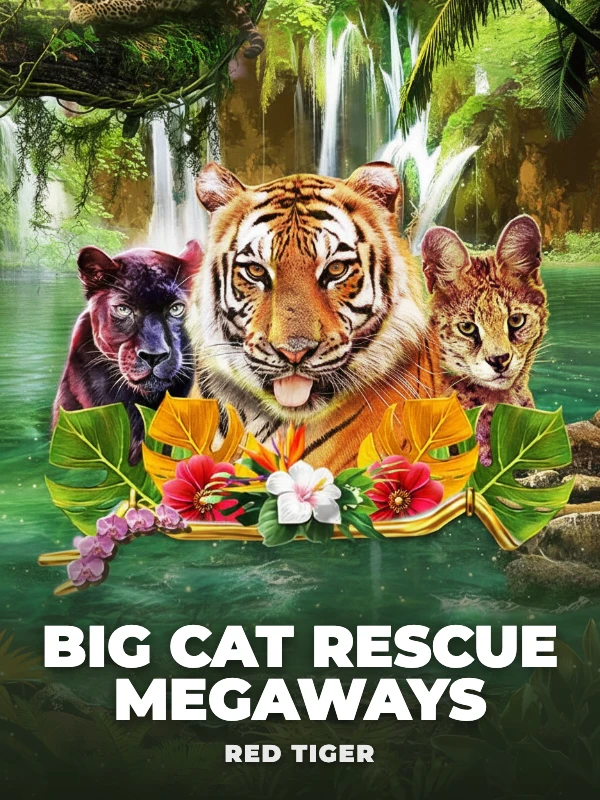 Big Cat Rescue Megaways