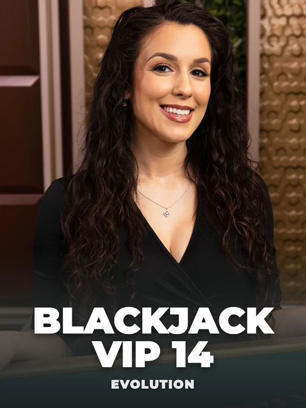 Blackjack VIP 14