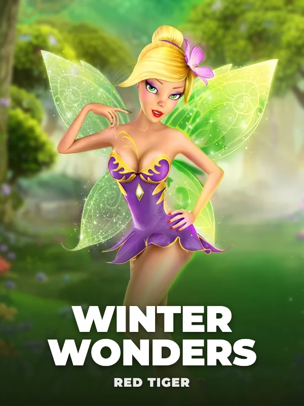 Winter Wonders