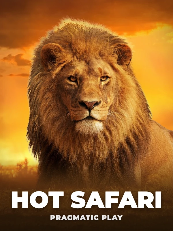 Hot Safari