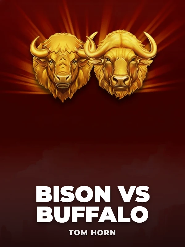 Bison vs Buffalo
