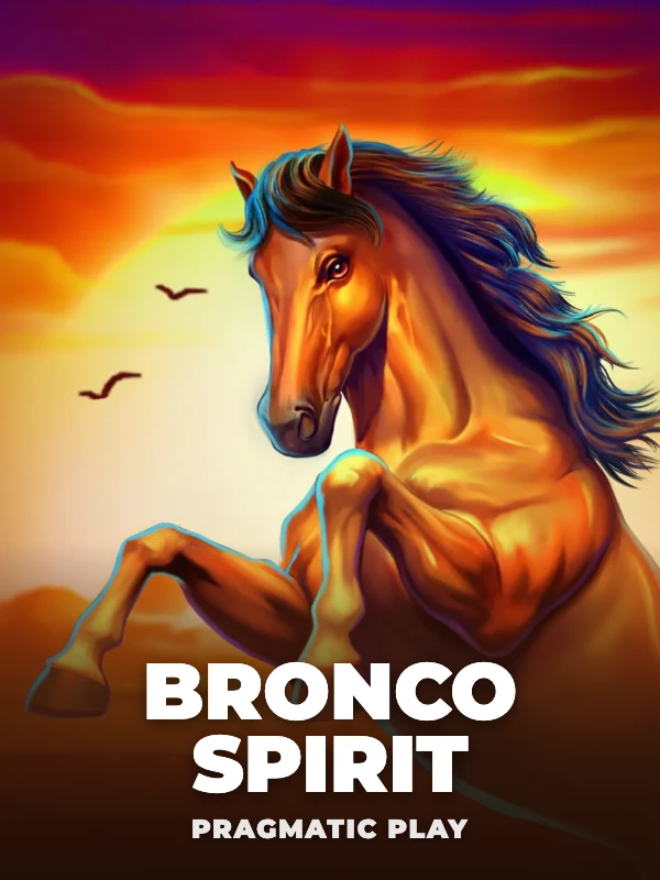 Bronco Spirit