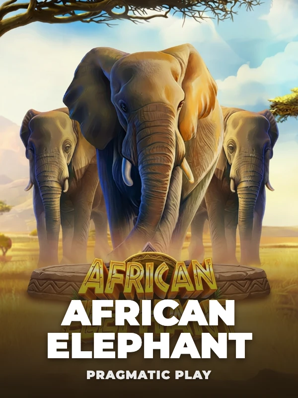 African Elephant